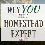 Why YOU are a Homestead Expert