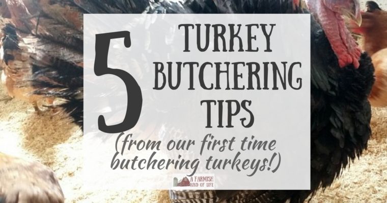 5 Turkey Butchering Tips