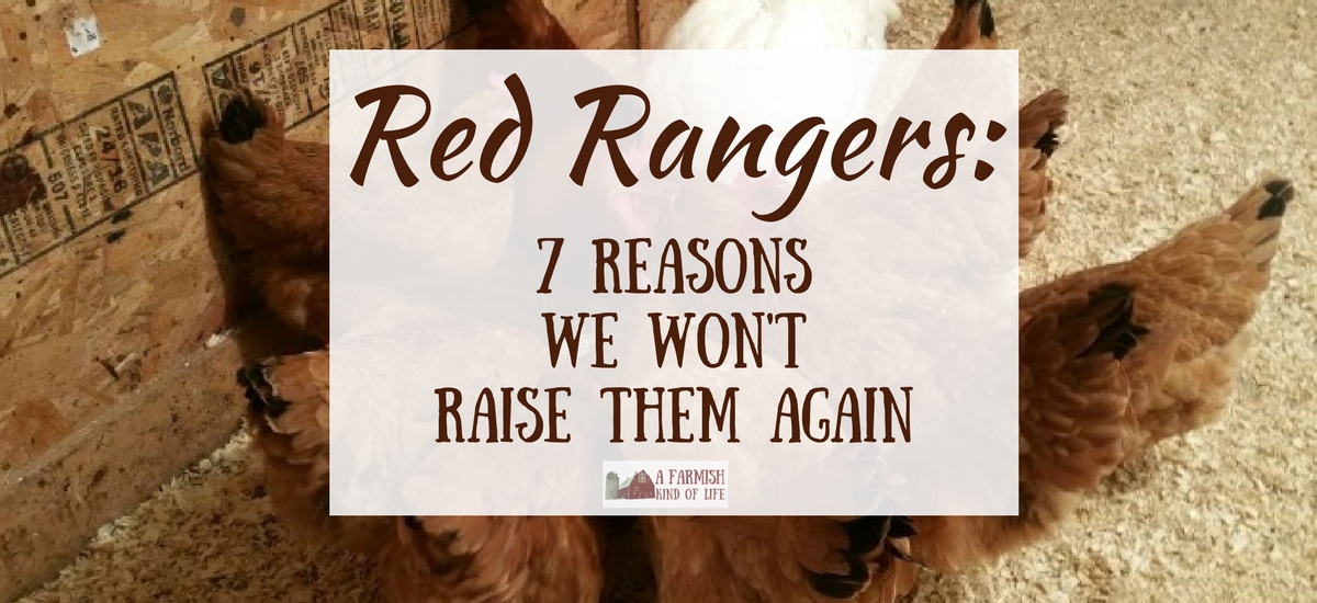 Red Rangers: 7 Reasons We Won’t Raise Them Again