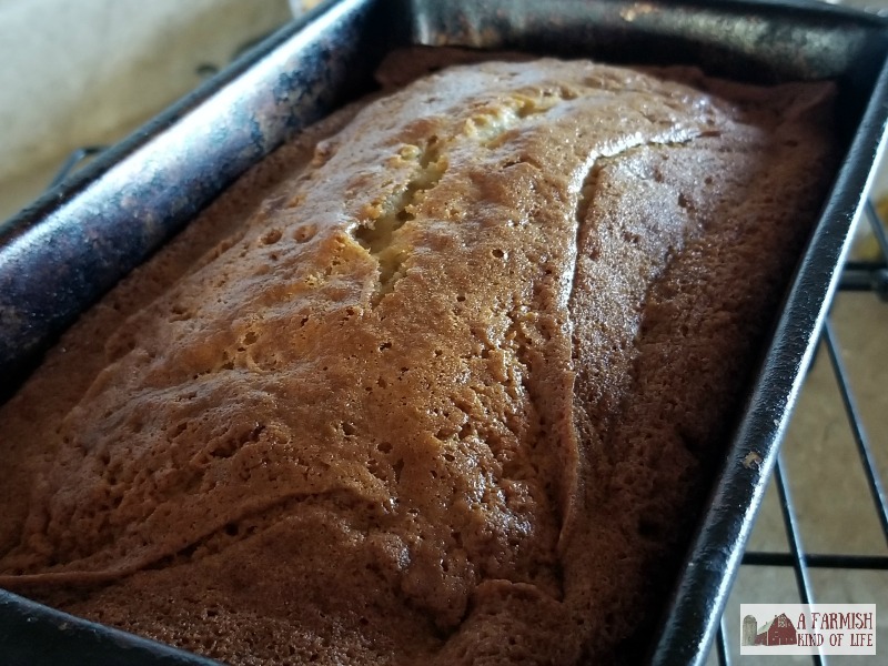 Here is a freshly baked loaf of one banana banana bread, ready to enjoy!