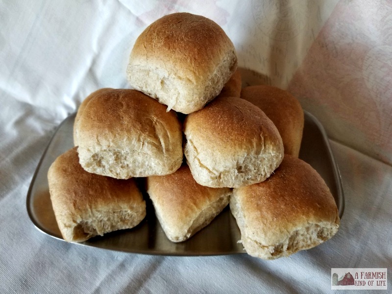 When your family asks you to bring something to share at dinner, tell them you'll bring Honey Wheat Pan Rolls. They'll love them, and you will, too!