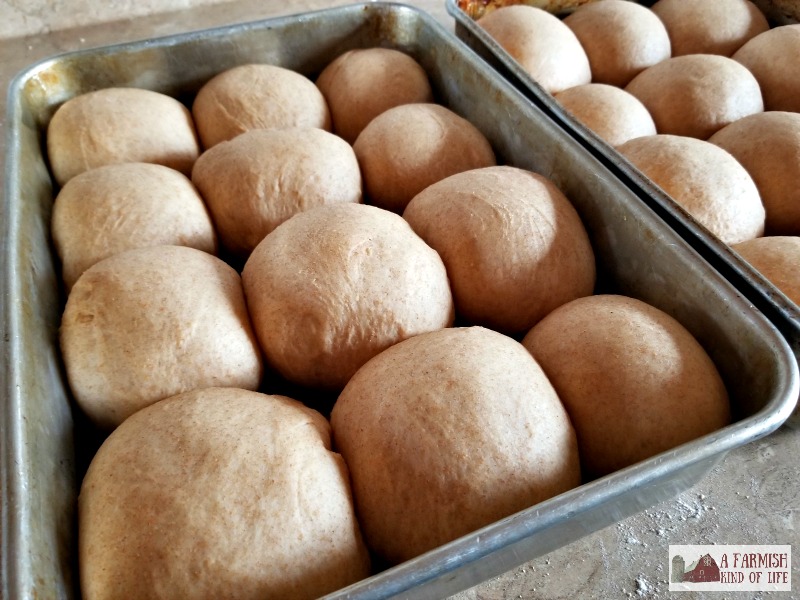 When your family asks you to bring something to share at dinner, tell them you'll bring Honey Wheat Pan Rolls. They'll love them, and you will, too!