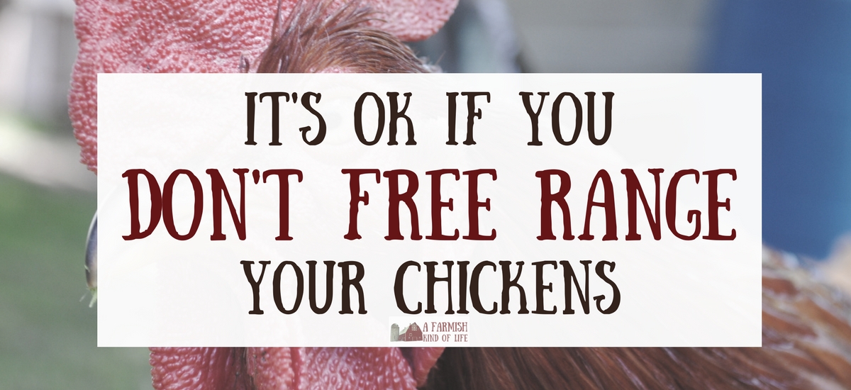It’s Perfectly Okay If You Don’t Free Range Your Chickens