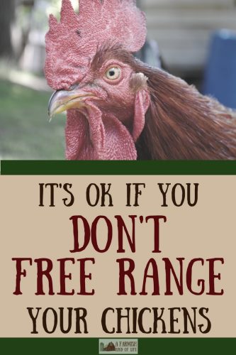 Worried that you're not a good chicken mama if you don't free range your chickens? Pshaw. Here's why you need to stop listening to that advice.