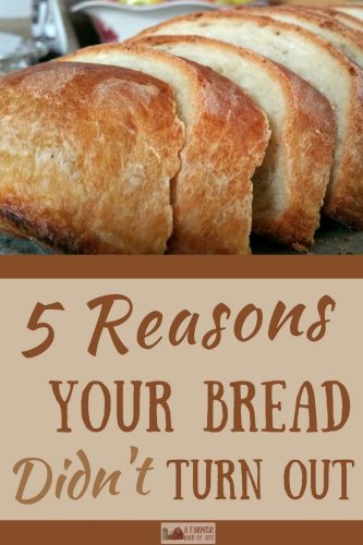Your bread didn't turn out? Check out these five common reasons that a loaf of homemade bread will sometimes end up as a flop.