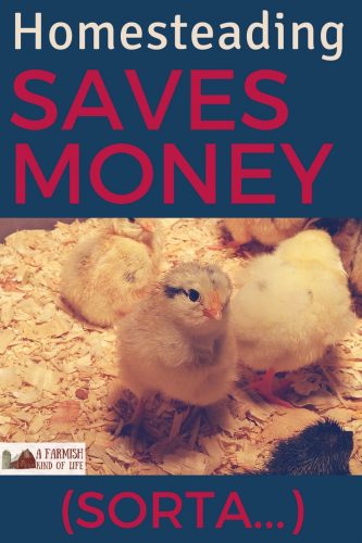 Homesteading is said to be one of the most frugal ways to live, but what's the real story behind homestead costs? Does homesteading actually save money?