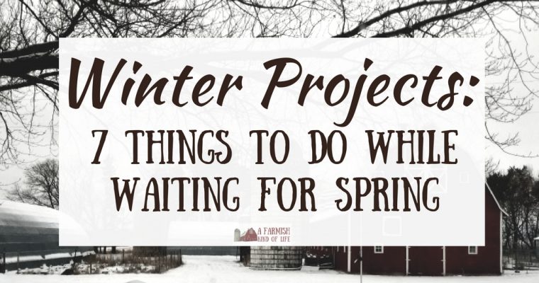 Homestead Winter Projects: 7 Things to Do While Waiting for Spring