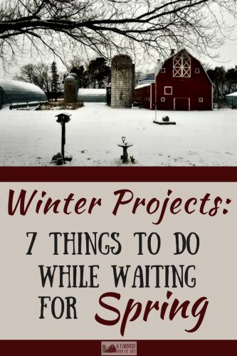 Waiting for spring to come to the homestead? Here are seven winter projects to keep you busy while you wait for warmer weather.