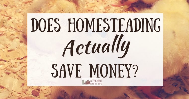 Homestead Costs: Does Homesteading Save Money?