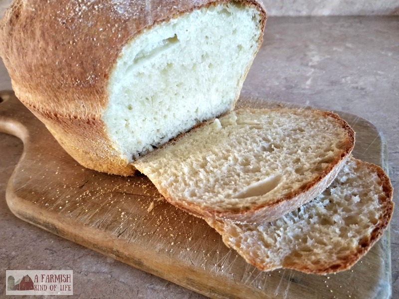 Try your hand at making this English Muffin Bread. It is super easy and awesome. It's also baked in a casserole dish. What the what? 