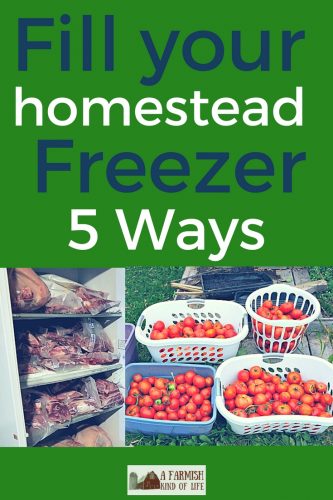 Learn five ways to fill your freezer on the homestead to ensure that you enjoy a bounty of healthy, amazing food throughout the year!