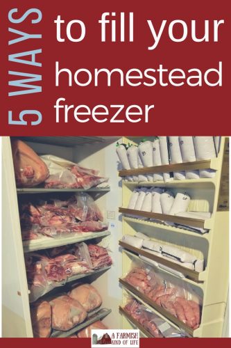Learn five ways to fill your freezer on the homestead to ensure that you enjoy a bounty of healthy, amazing food throughout the year!