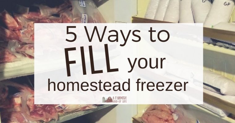 Fill Your Freezer on the Homestead 5 Ways