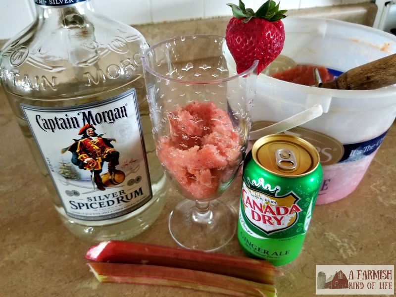 Need an idea for something ELSE to do with rhubarb? How about a yummy strawberry rhubarb slush that can be made with or without alcohol?