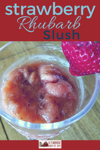 Need an idea for something ELSE to do with rhubarb? How about a yummy strawberry rhubarb slush that can be made with or without alcohol?