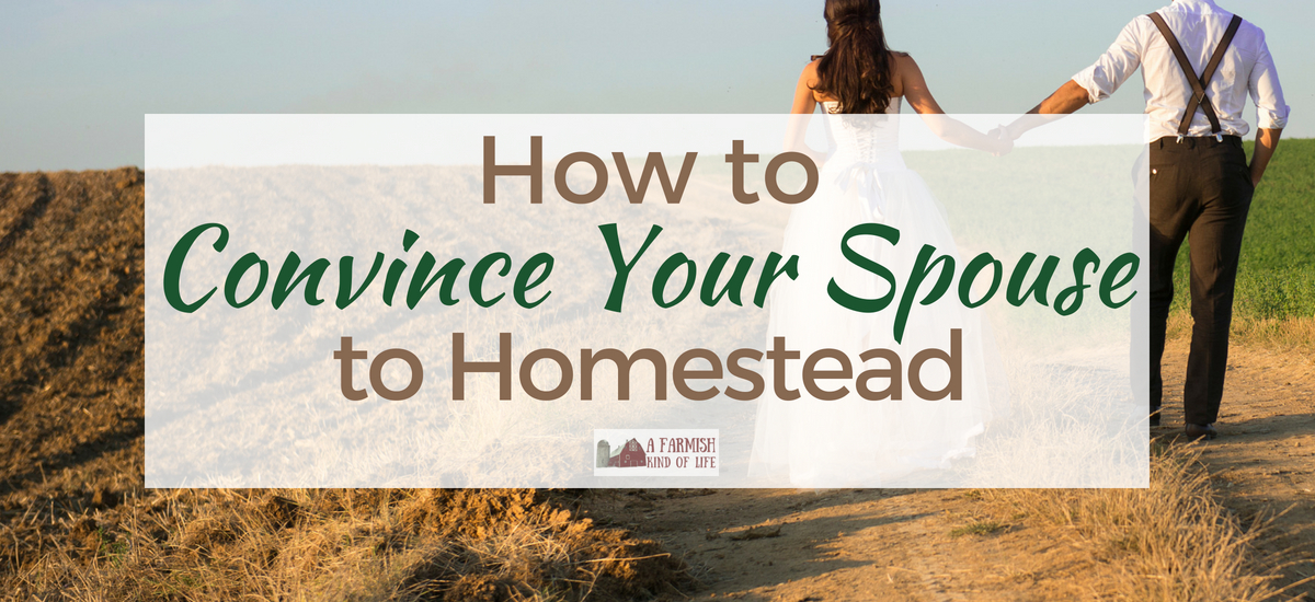 How to Convince Your Spouse to Homestead