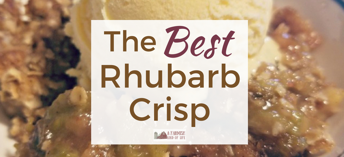 The Best Rhubarb Crisp Recipe