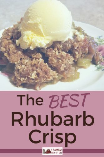 A simple but shamelessly delicious recipe for rhubarb crisp because of one word: butter. And lots of it. It's my favorite!