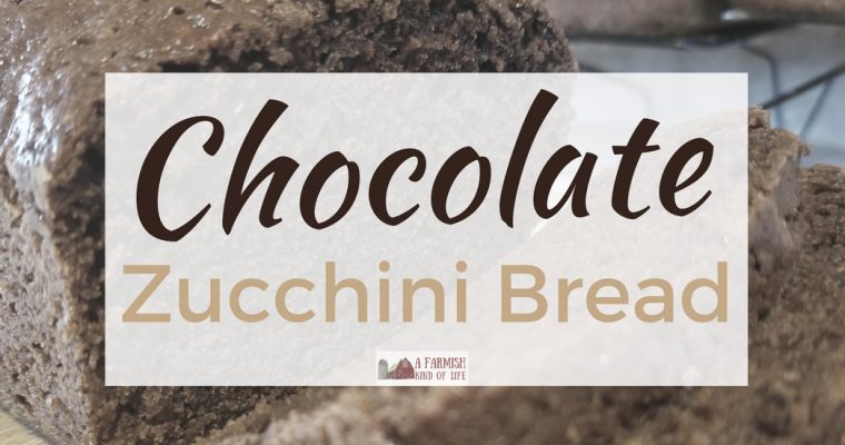 Chocolate Zucchini Bread: Another Way to Use Zucchini