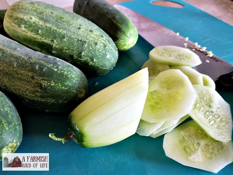 Creamy cucumbers are our favorite thing to do with garden fresh cukes. Make them by the bucketful (like us) and you'll always have yummy side dish.