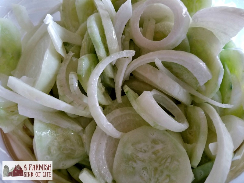 Creamy cucumbers are our favorite thing to do with garden fresh cukes. Make them by the bucketful (like us) and you'll always have yummy side dish.