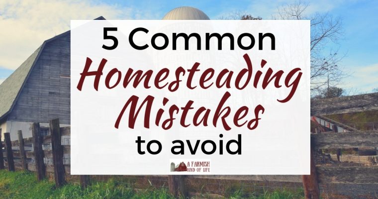 5 Common Homesteading Mistakes to Avoid