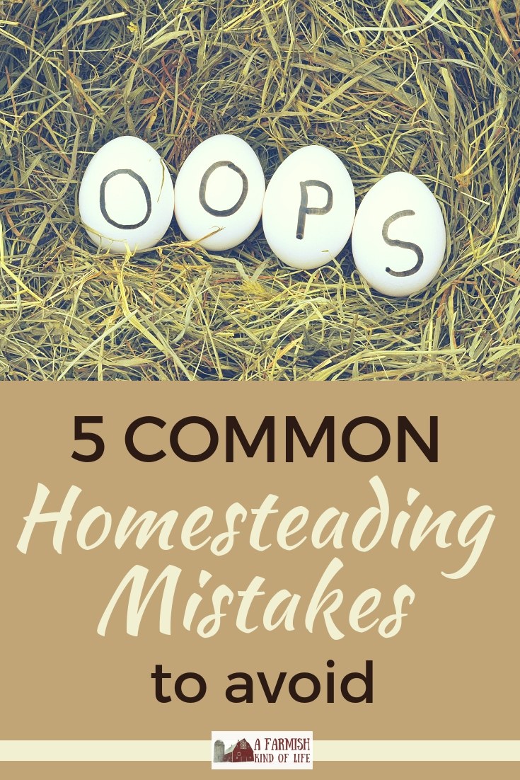 5 Common Homesteading Mistakes to Avoid - A Farmish Kind of Life