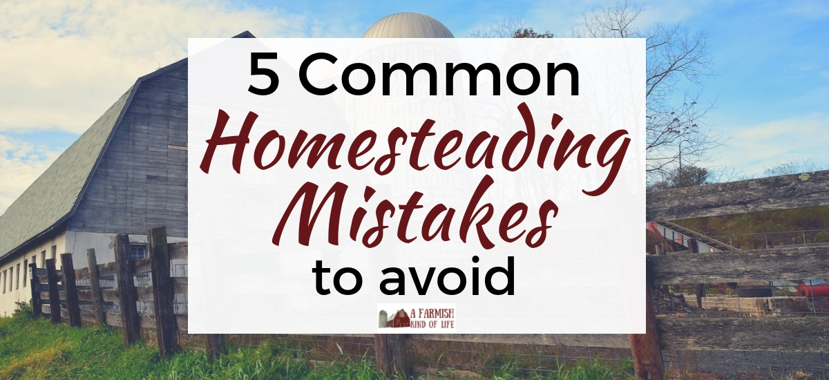 5 Common Homesteading Mistakes to Avoid