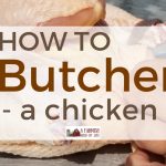 How to Butcher a Chicken