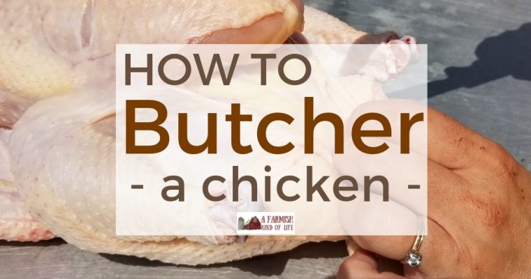 How to Butcher a Chicken