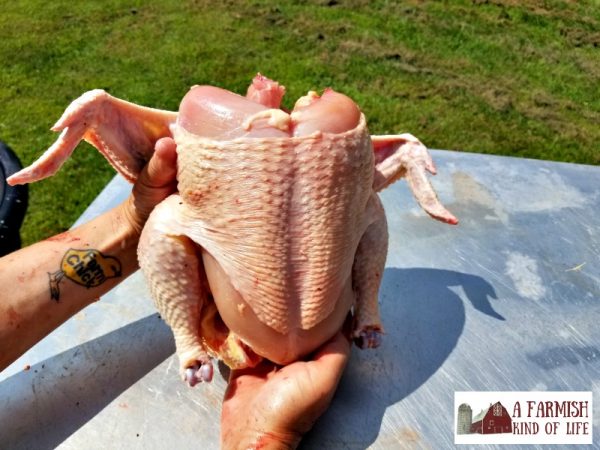 How to Butcher a Chicken - A Farmish Kind of Life