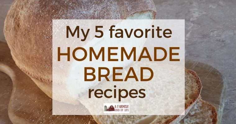 My 5 Favorite Go-to Homemade Bread Recipes