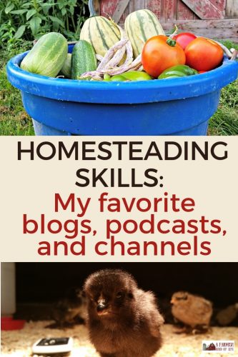 https://afarmishkindoflife.com/wp-content/uploads/2019/01/Homesteading-skills_-my-favorite-blogs-podcasts-and-channels-pin-333x500.jpg