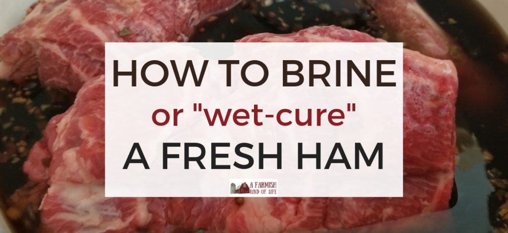 Interested in learning how to turn your pork into ham? Let me share with you how we brine a ham (or wet-cure a ham) here at our farm.