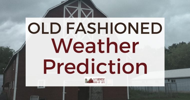 Old Fashioned Weather Prediction Tips