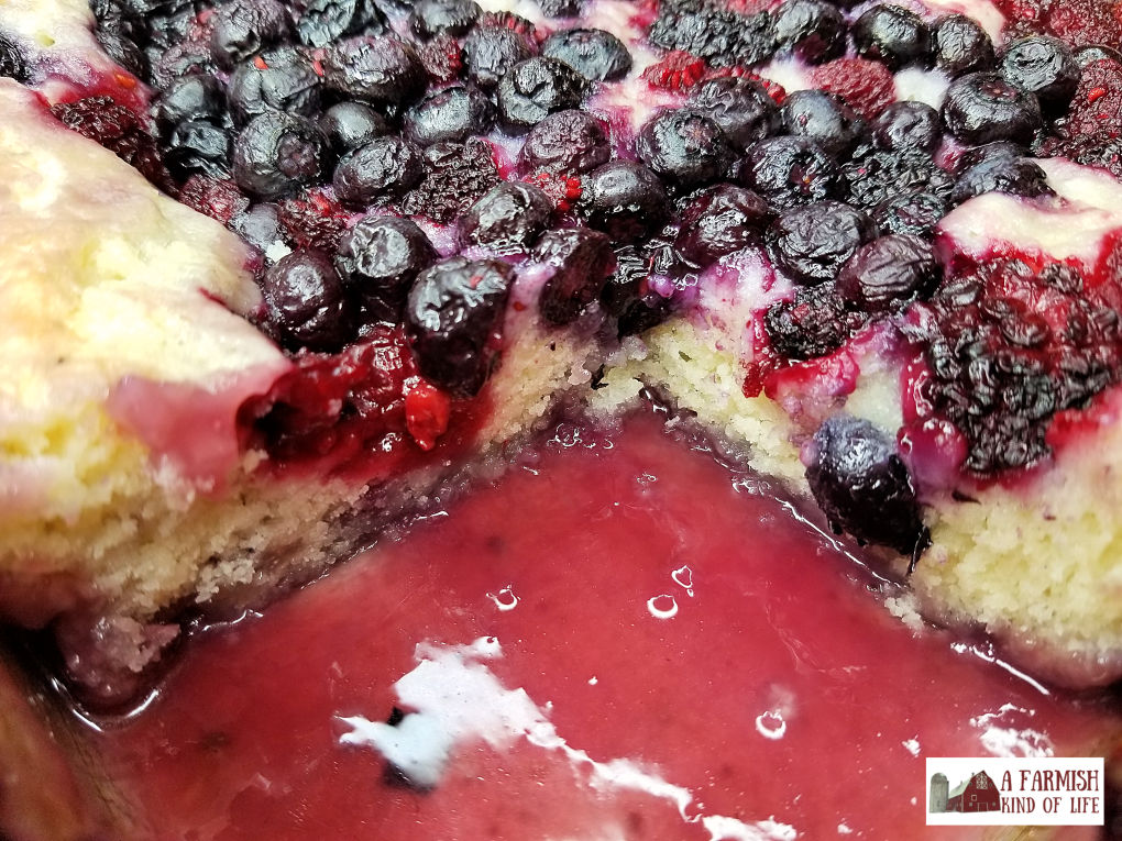Get thee to the kitchen and make this Berry Cobbler. It's an easy recipe and you can use whatever berries are on hand! Your belly will be so very happy.