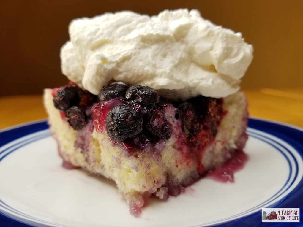 Get thee to the kitchen and make this Berry Cobbler. It's an easy recipe and you can use whatever berries are on hand! Your belly will be so very happy.