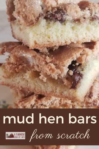 Mud Hen bars are comprised of three layers: a crust, a marshmallow/chocolate chip/optional nut layer, and then a brown sugar meringue. So delish!