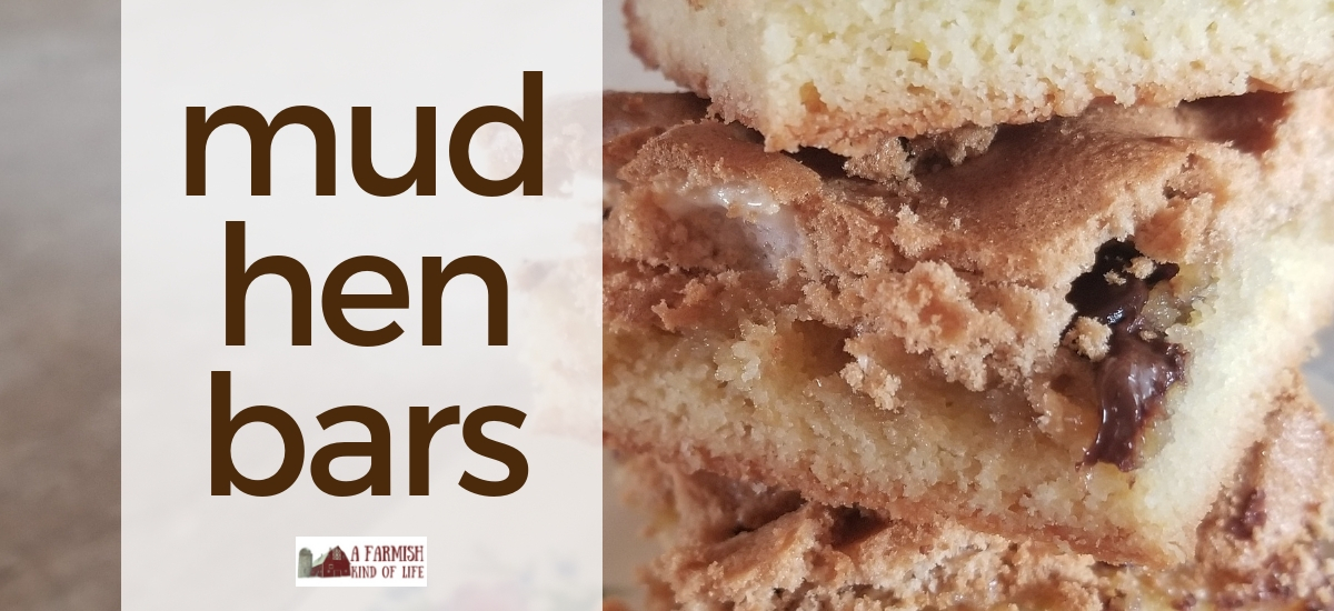 Mud Hen Bars: three layers of delicious