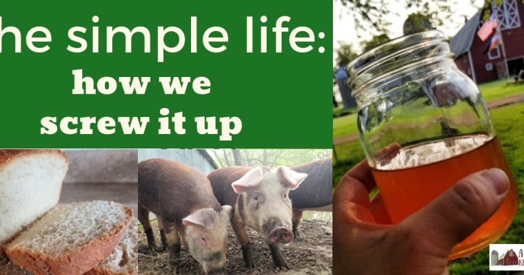 Screwing up the simple life
