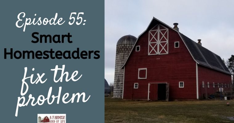 055: Smart Homesteaders Fix the Problem