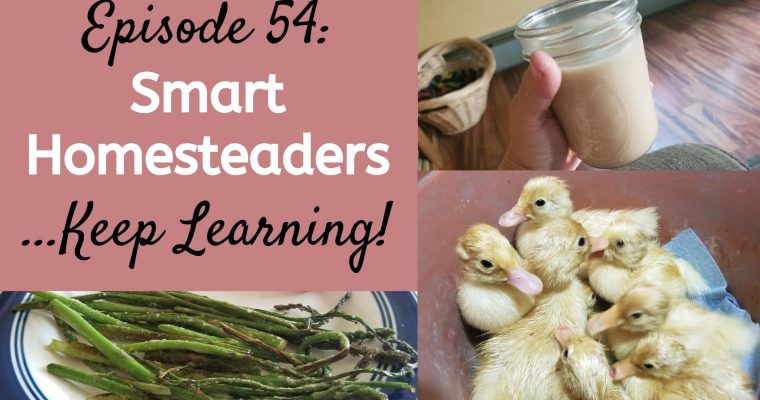Episode 54: Smart Homesteaders Keep Learning