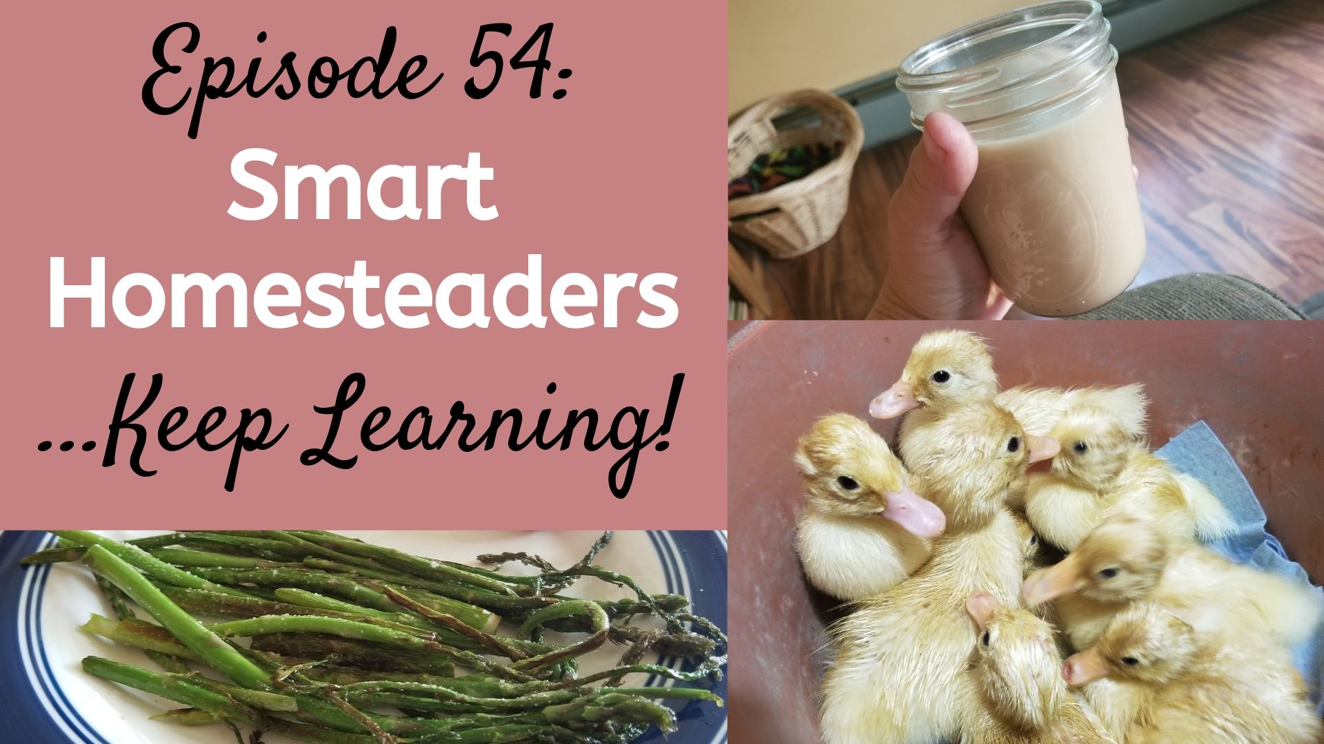 Episode 54: Smart Homesteaders Keep Learning