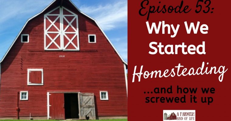 Why We Started Homesteading: Episode 53