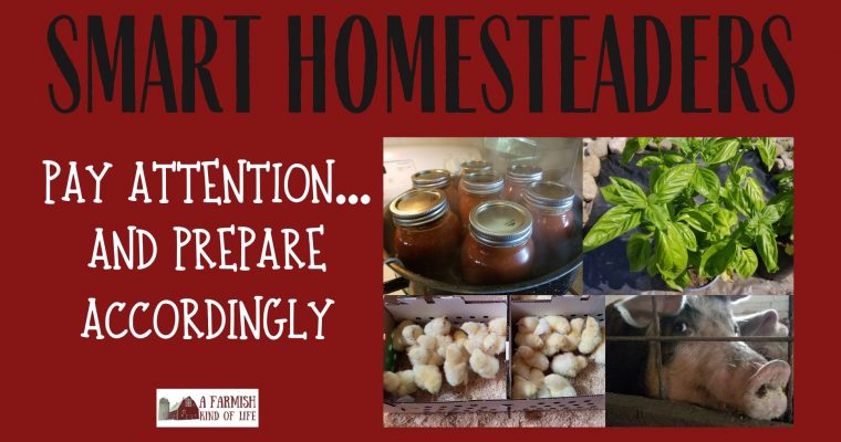 058: Smart Homesteaders Pay Attention…and Prepare Accordingly
