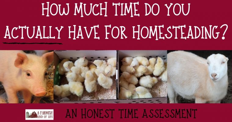 060: Homesteading time assessment