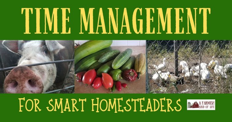 061: Time Management for Smart Homesteaders