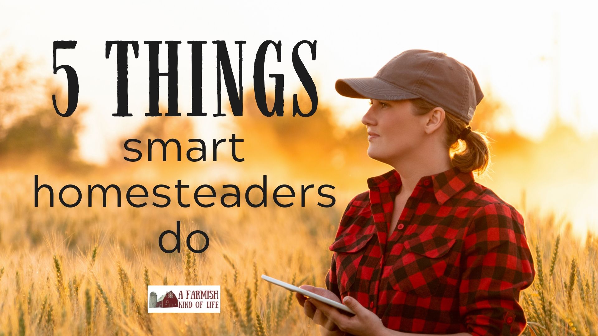 5 Things Smart Homesteaders Do