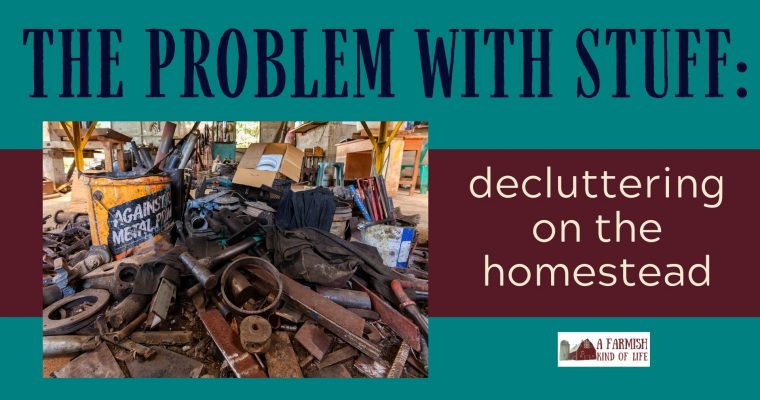 064: Homestead Decluttering — the why and how