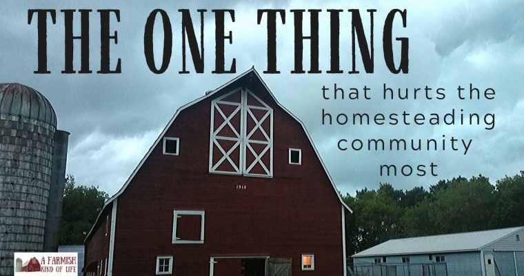 063: The One Thing that Hurts the Homesteading Community Most
